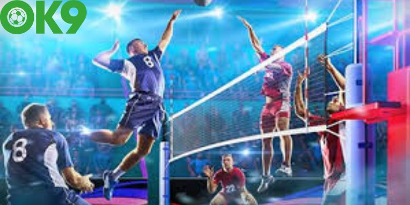 Tổng hợp các hình thức cá cược bóng chuyền Ok9